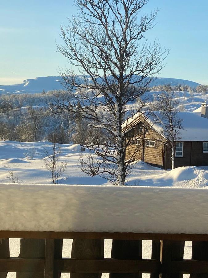 Storemyr By Norgesbooking - Cabin With Amazing View Myro Exteriör bild